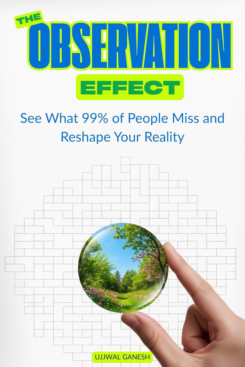 The Observation Effect ebook cover