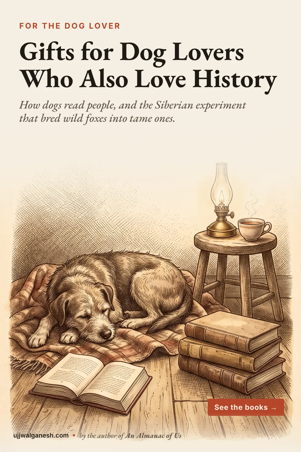 Engraving-style illustration of a scruffy dog asleep on a blanket beside old books, a brass lamp and a cup of tea. Gifts for dog lovers who love history.